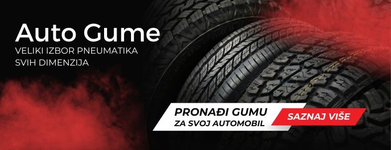  Auto gume