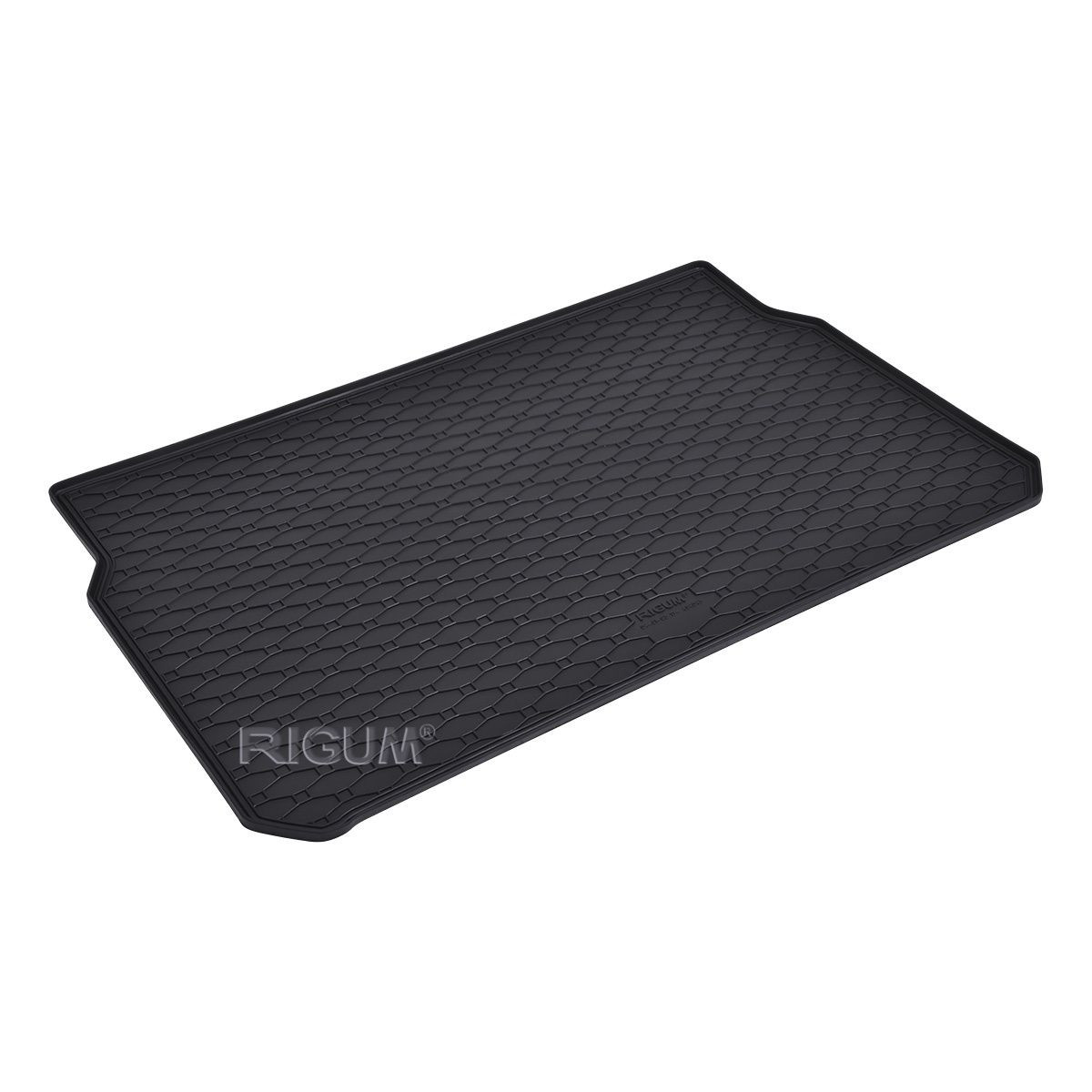 PAT GUM GEPEKA 404043 CITROEN C3 17- RIGUM 