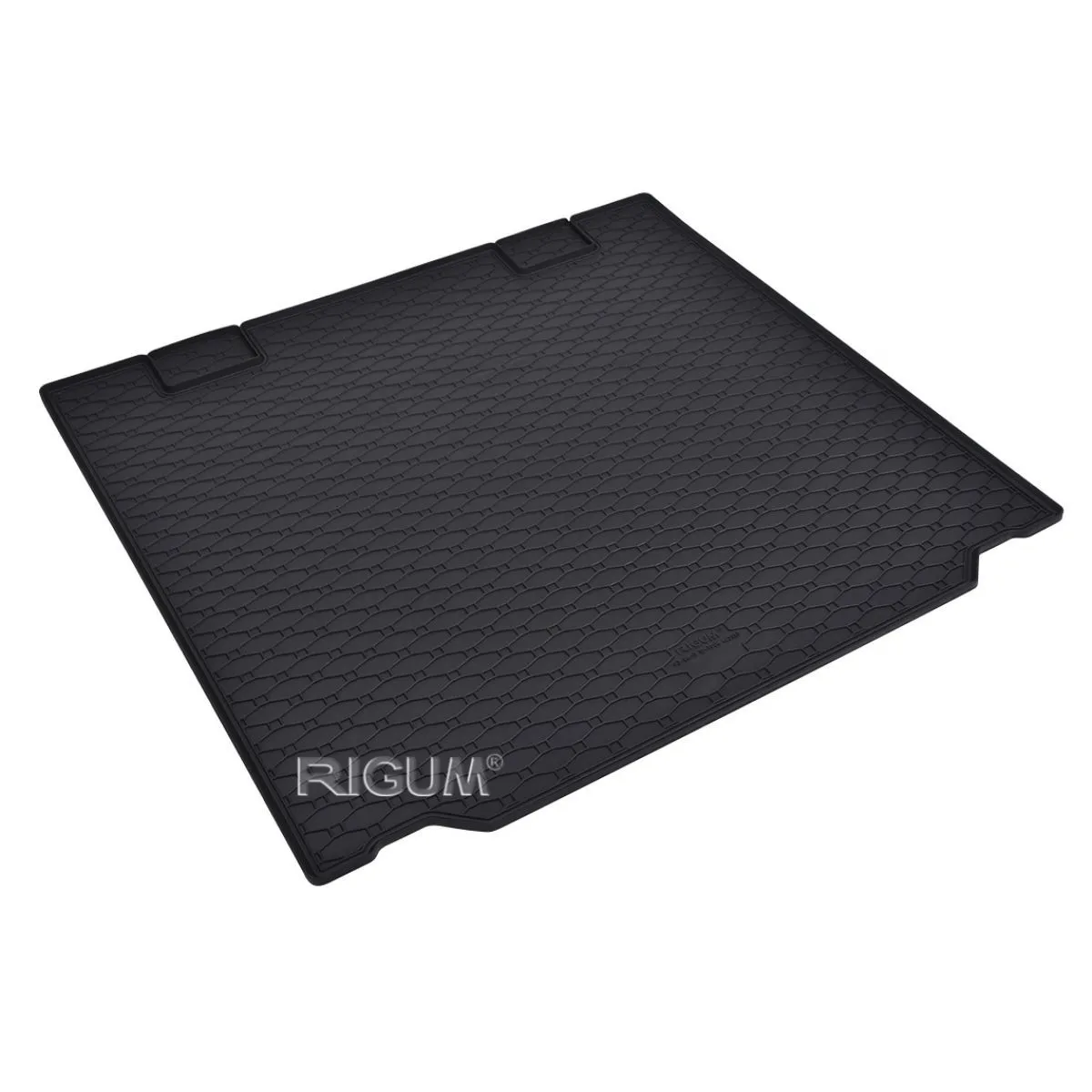 PAT GUM GEPEKA 403053 BMW 5 TOURING F11 10-  RIGUM 