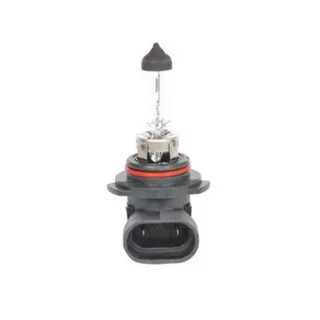 SIJ 12V 55W HB4 1987302808 (  ) ECO  BOSCH 