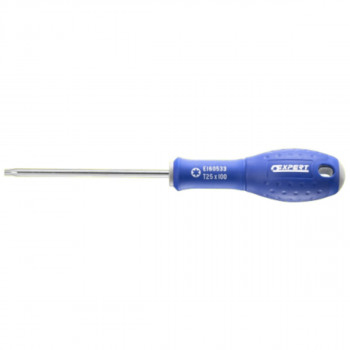 ODVIJAC E160534 TORX T27 PRIMO 100 MM 