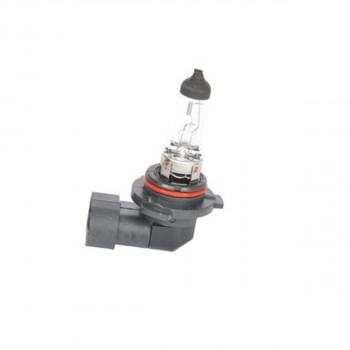 SIJ 12V 55W HB4 1987302808 (  ) ECO  BOSCH 