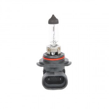 SIJ 12V 55W HB4 1987302808 (  ) ECO  BOSCH 