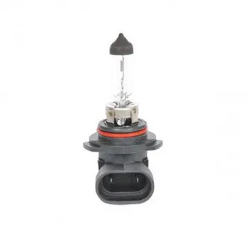 SIJ 12V 55W HB4 1987302808 (  ) ECO  BOSCH 