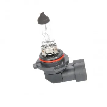 SIJ 12V 51W HB4 1987302153 (  ) PURE LIGHT BOSCH 