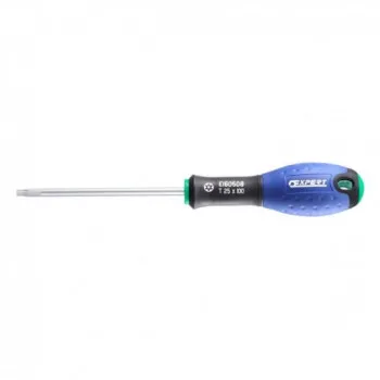 ODVIJAC E160510 TORX T30 PRIMO 125 MM EXPERT 