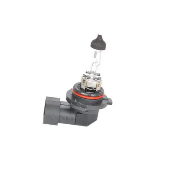 SIJ 12V 55W HB4 1987302808 (  ) ECO  BOSCH 