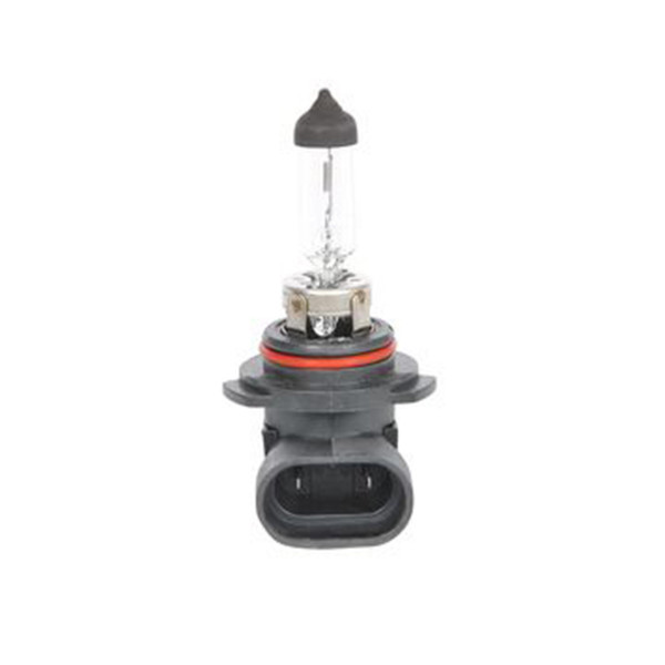 SIJ 12V 55W HB4 1987302808 (  ) ECO  BOSCH 