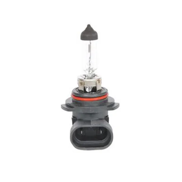 SIJ 12V 55W HB4 1987302808 (  ) ECO  BOSCH 